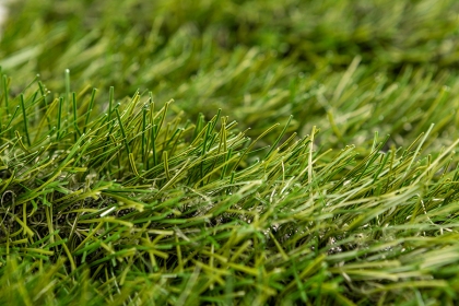 Lựa chọn sân bóng đá cỏ tự nhiên hay cỏ nhân tạo?